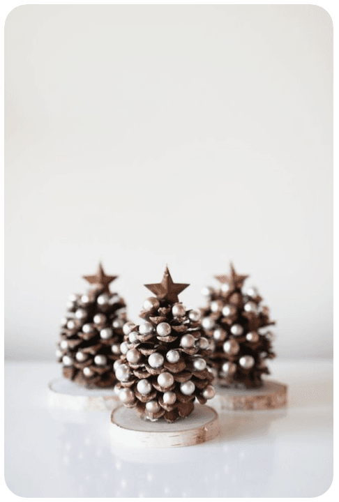 sapin en pomme de pin