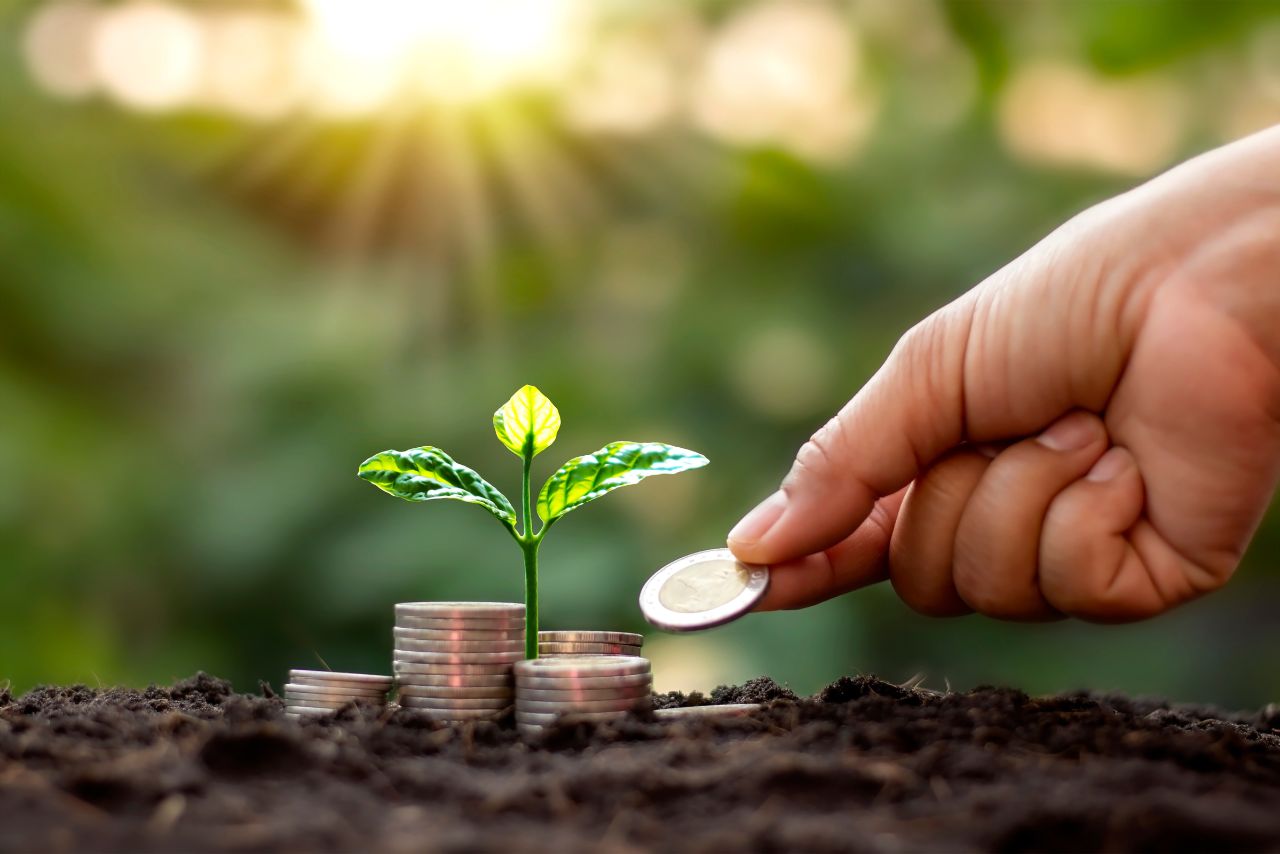 banques ecologiques