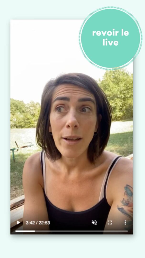 live insta sur le chèque emploi service (cesu) par fée du tri