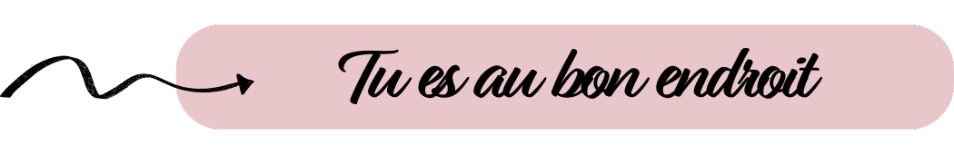 Nouvelle vie fée du tri